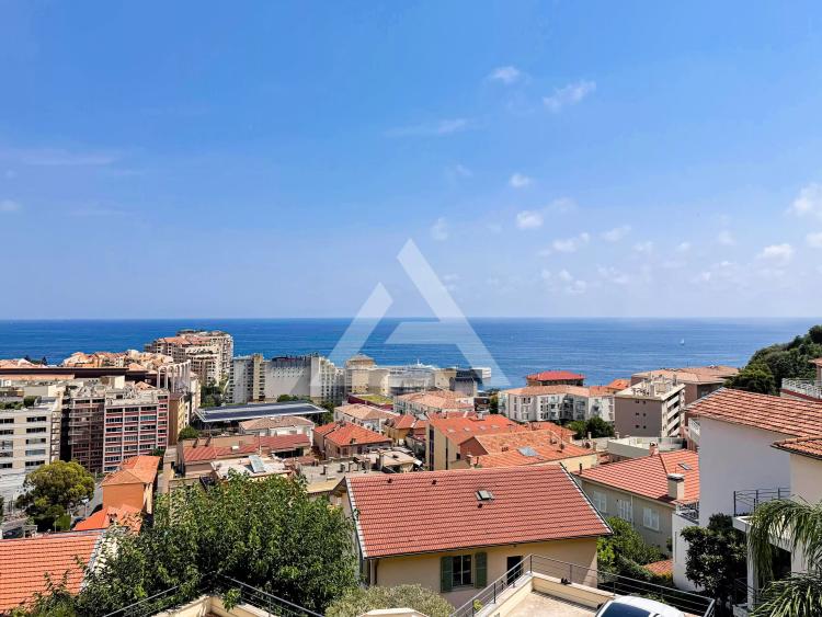 CAP D'AIL - 2 PIECES VUE MER - FRONTIERE MONACO