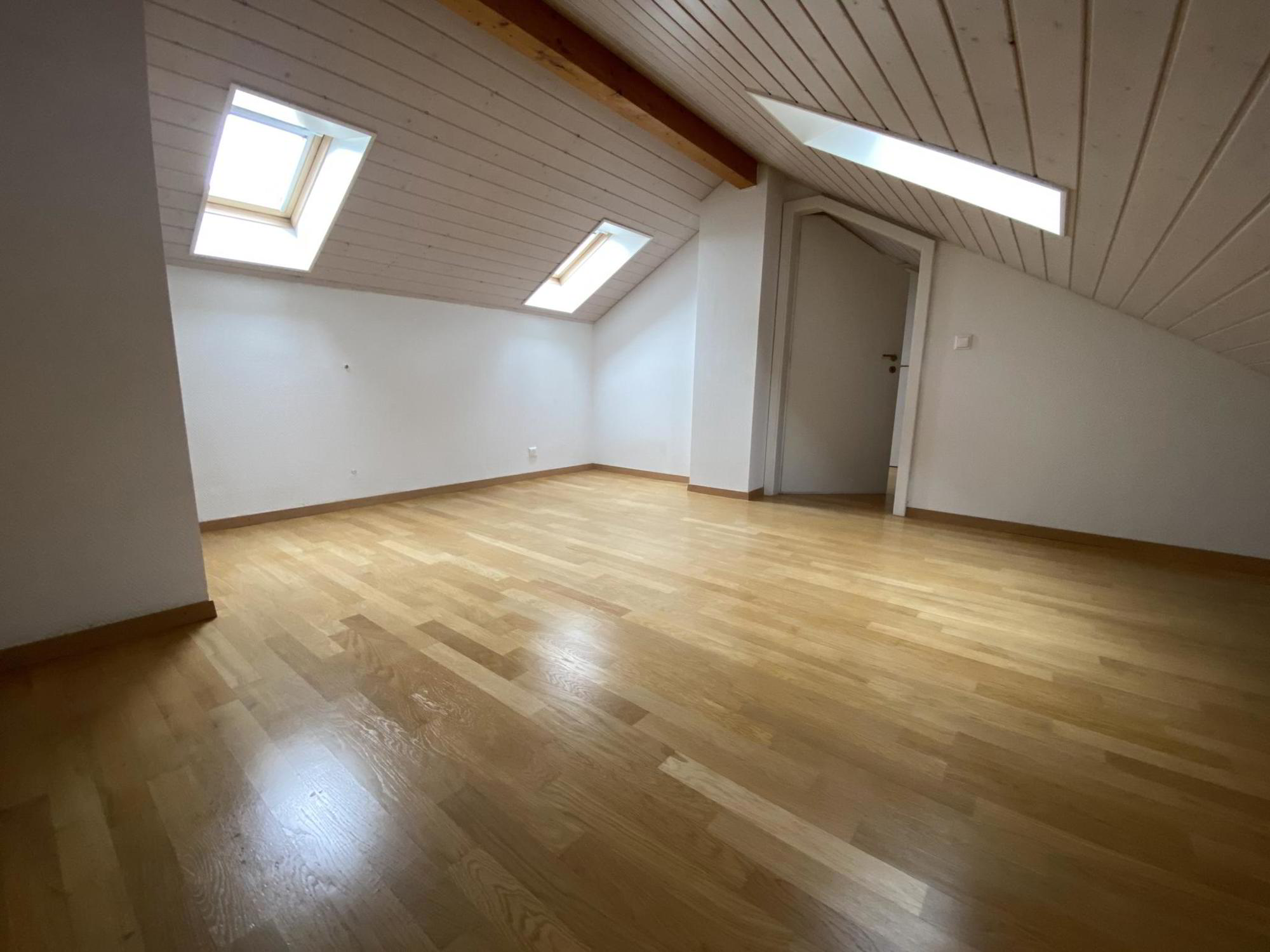 Apartment for sale, Triangle (Mies, Switzerland)