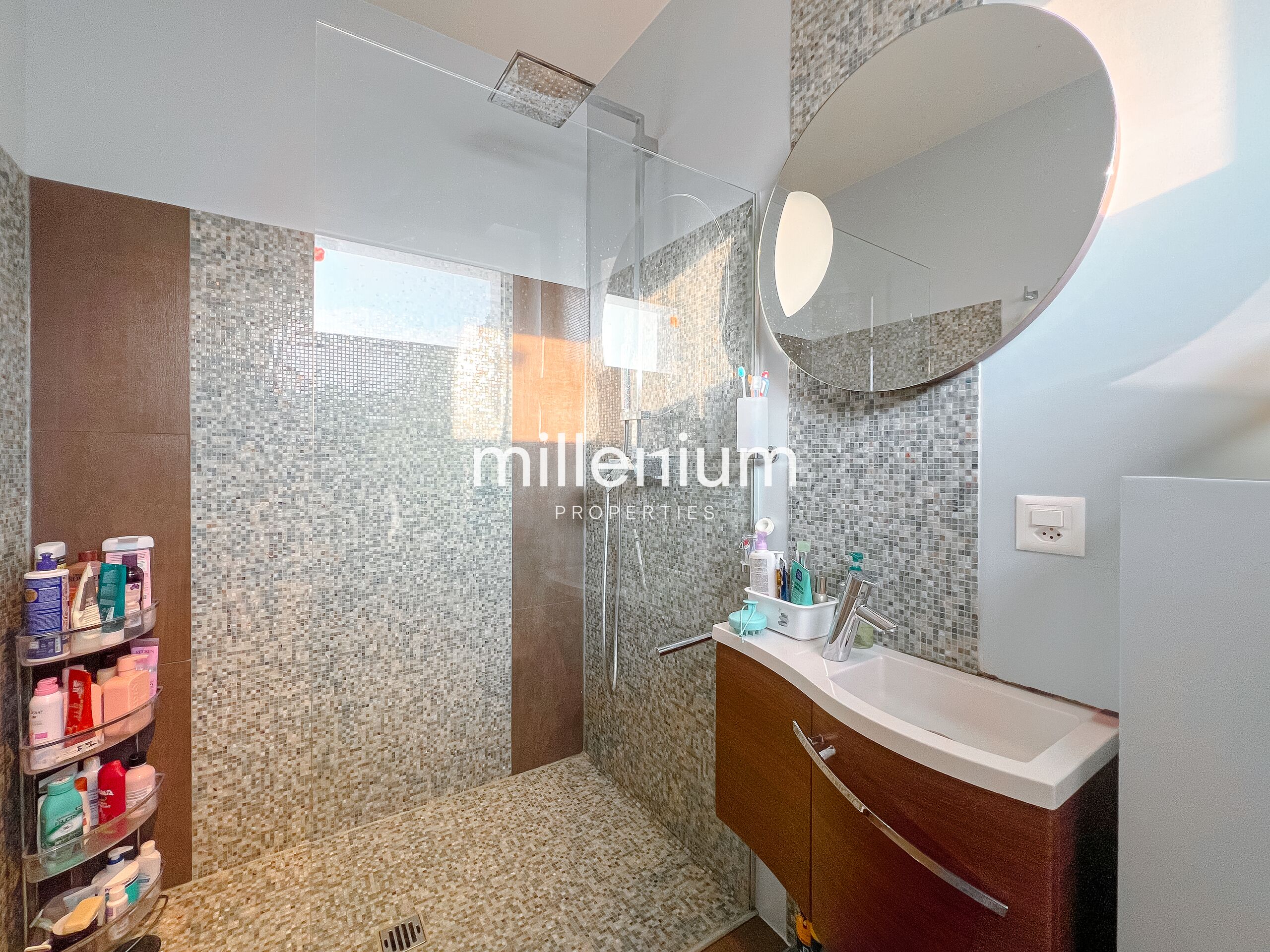 Grand appartement récent à Thônex