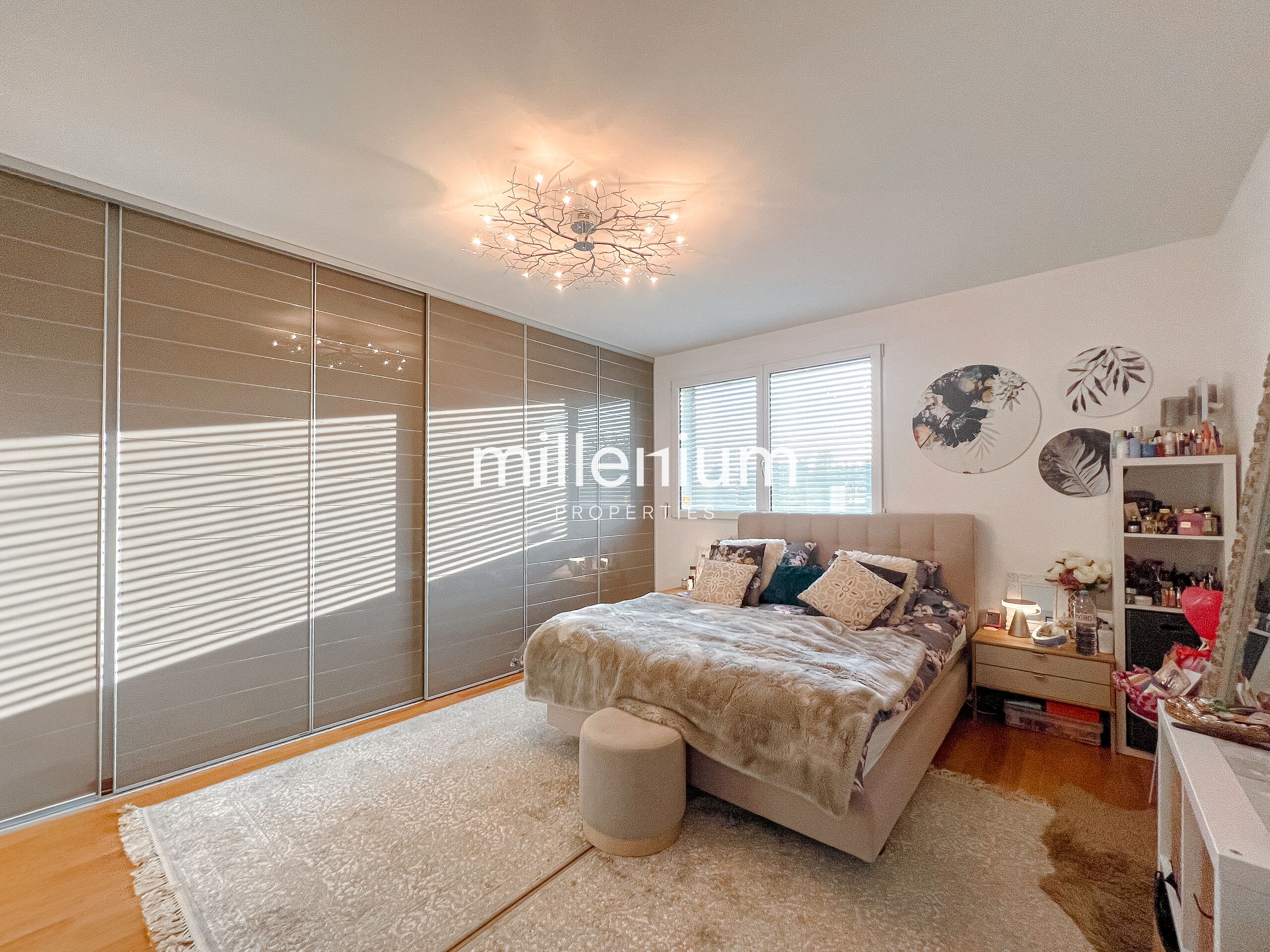 Grand appartement récent à Thônex