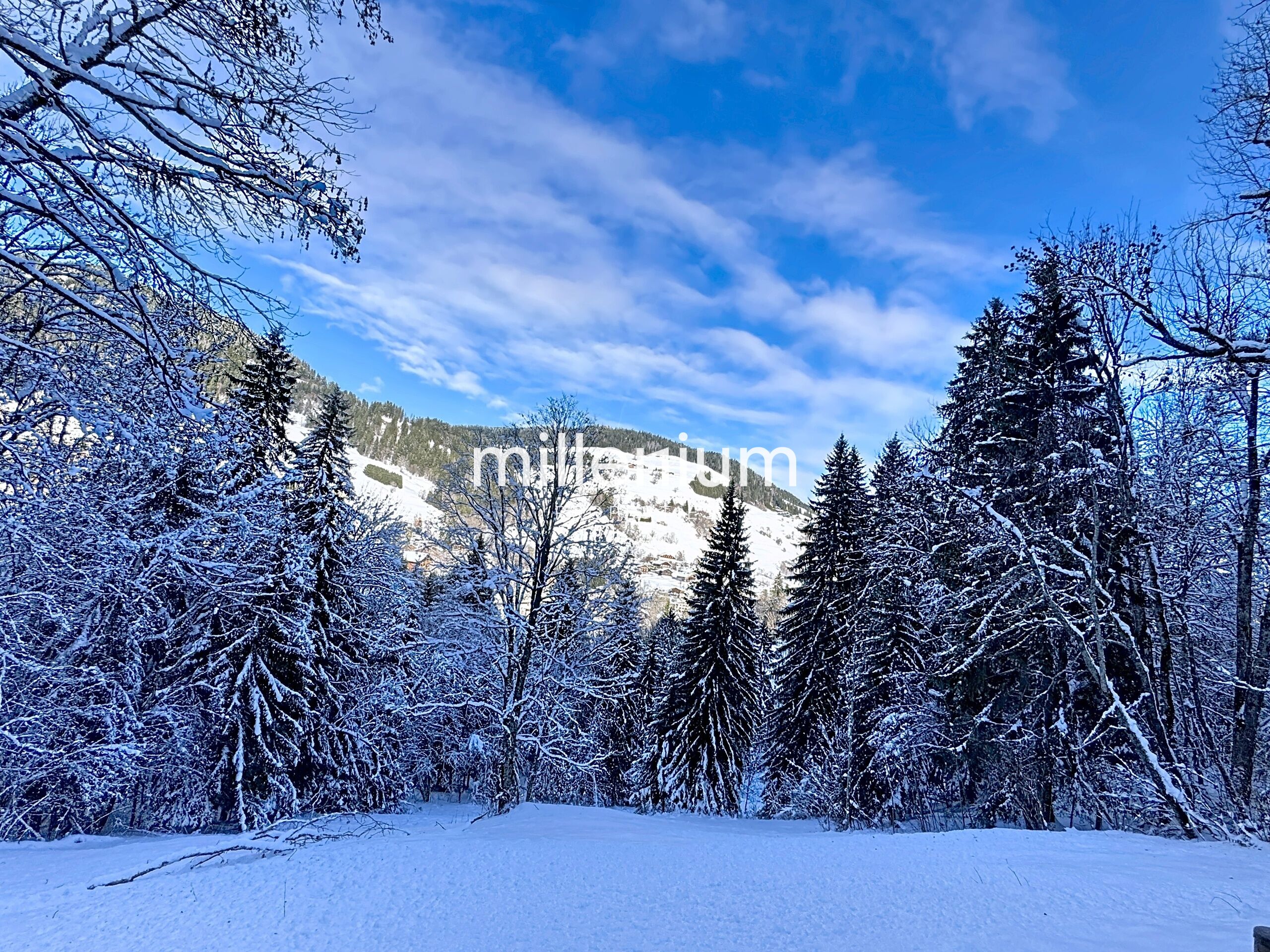 Superbe chalet Neuf à Megève, proches pistes secteur Rochebrune