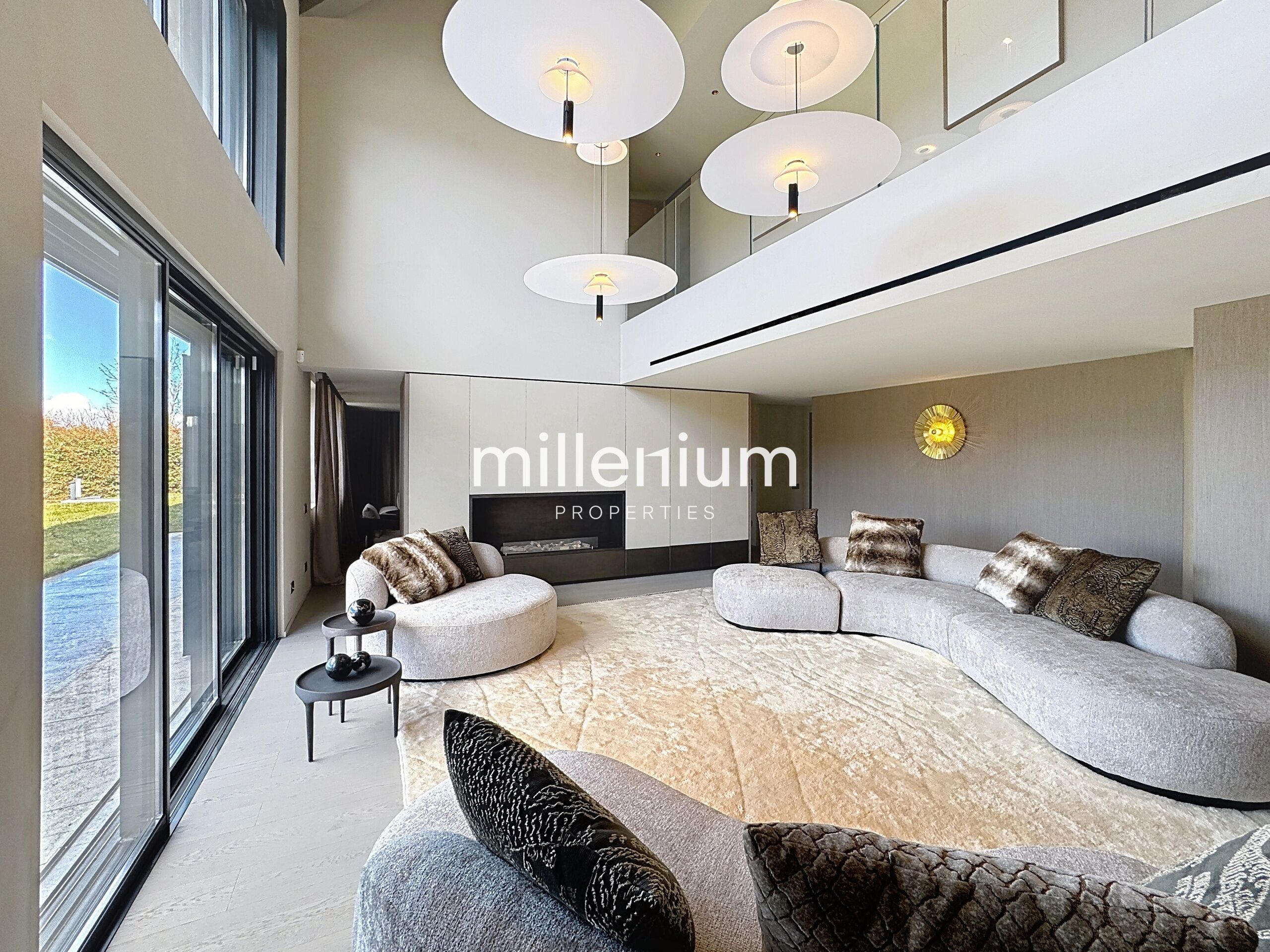 Propriété unique à vendre à Nernier