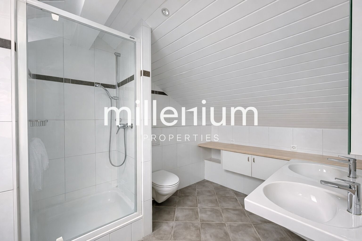 Exceptional Renovated 6-Room Duplex Penthouse in the Heart of Carouge