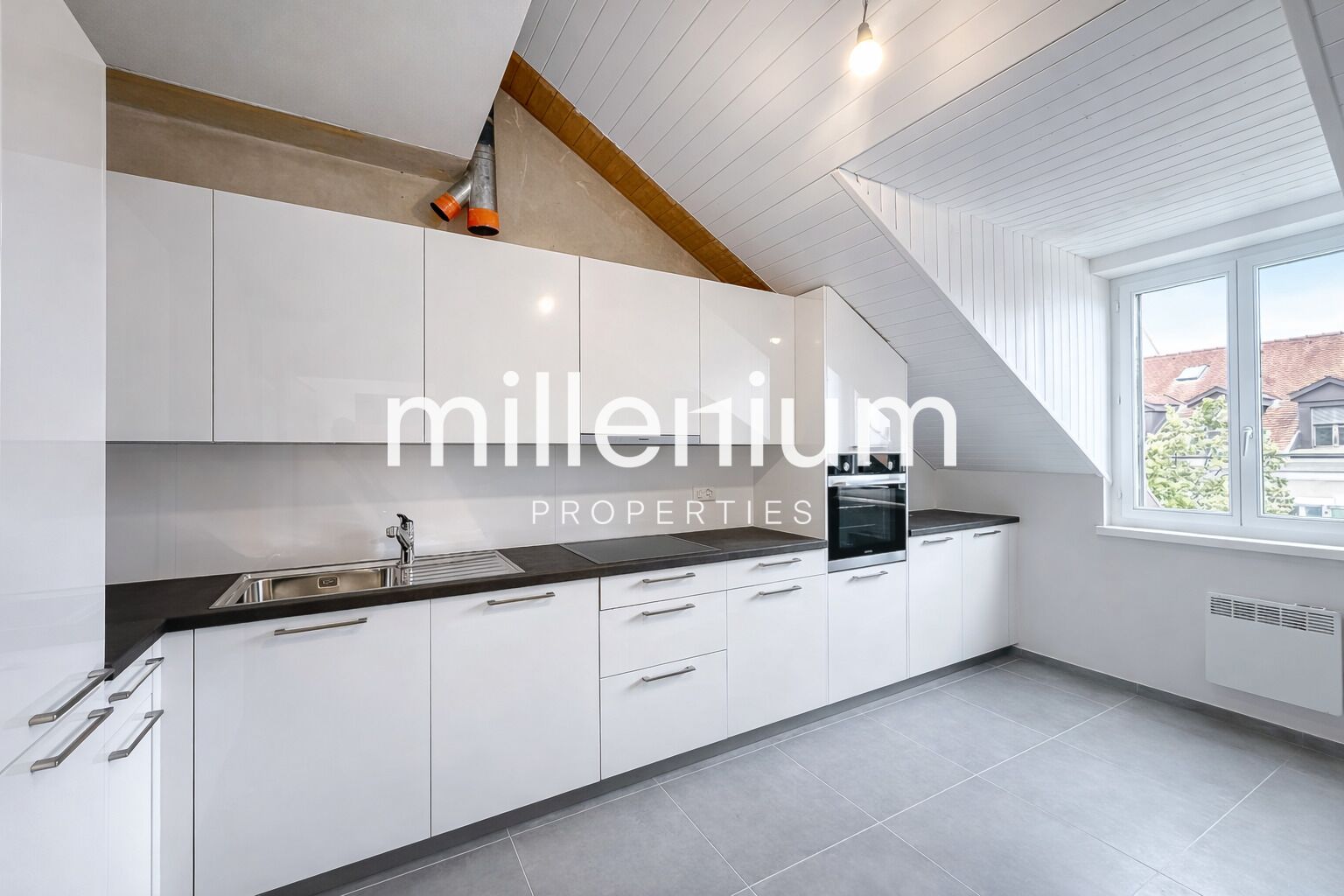 Exceptional Renovated 6-Room Duplex Penthouse in the Heart of Carouge