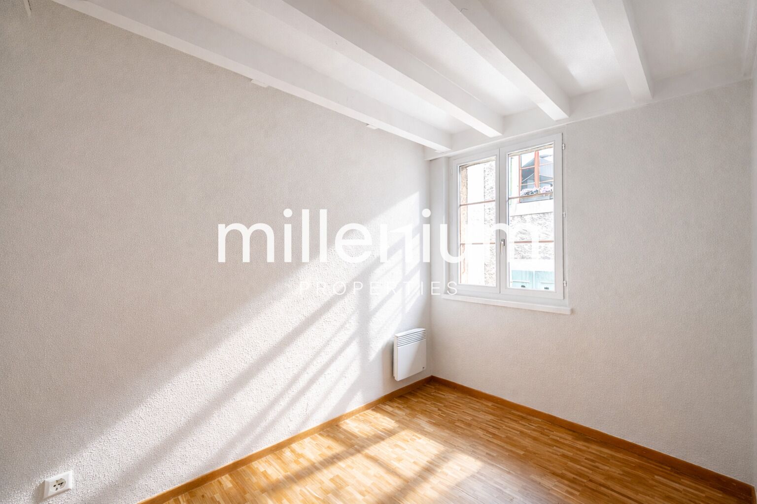 Exceptional Renovated 6-Room Duplex Penthouse in the Heart of Carouge