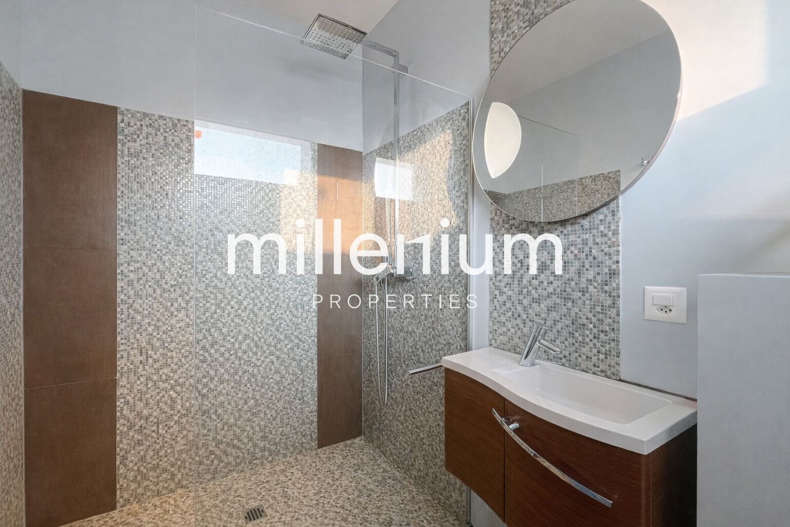 Grand appartement récent à Thônex