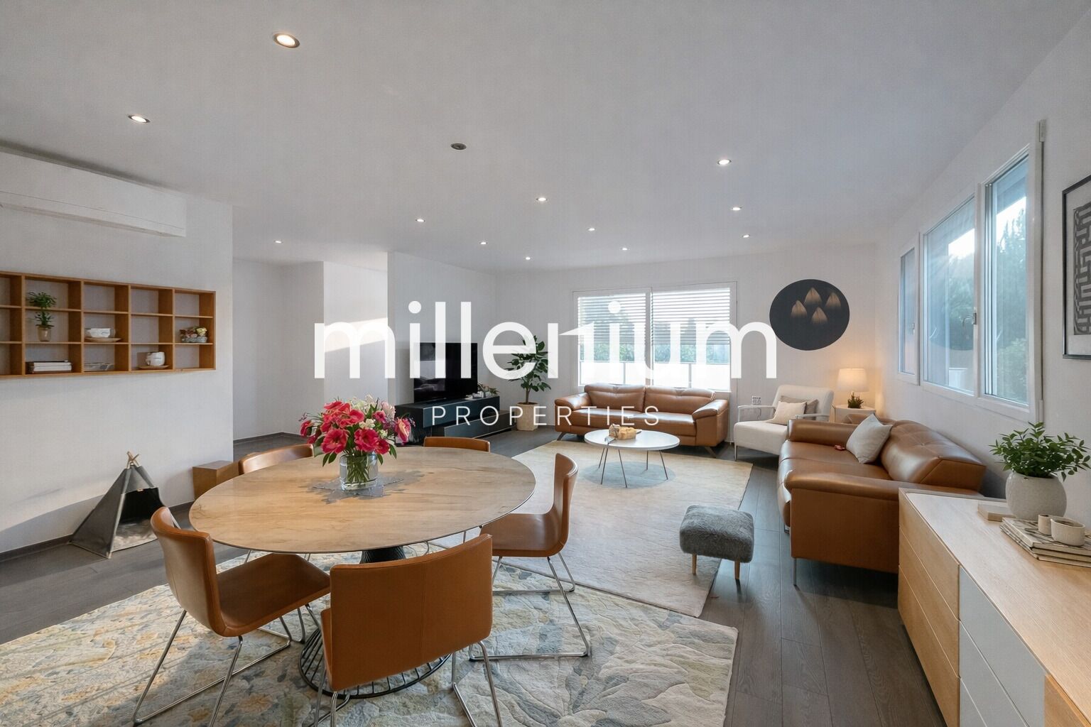 Grand appartement récent à Thônex