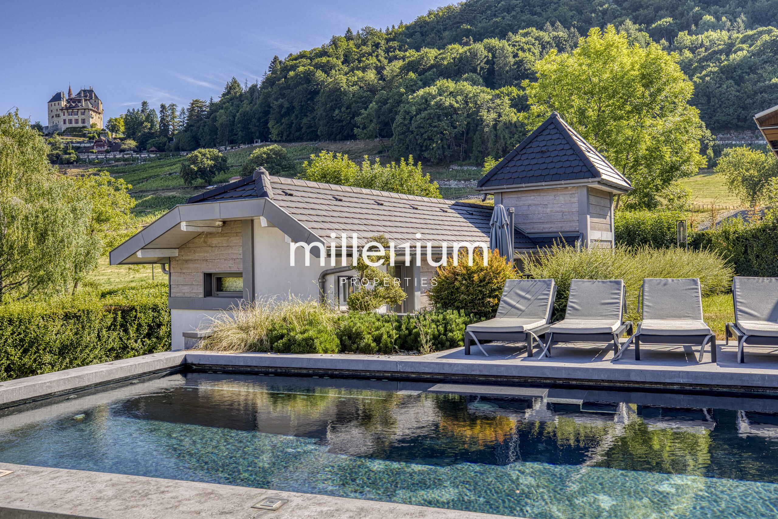 Magnifique Villa à Menthon Saint Bernard, proximité immédiate d'Annecy