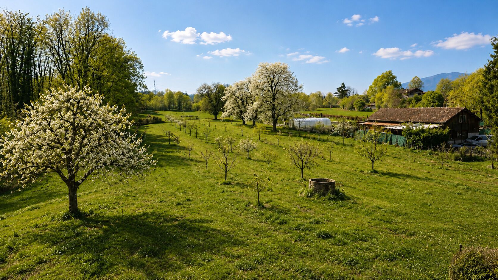 Spacieux appartement au cœur de la campagne genevoise