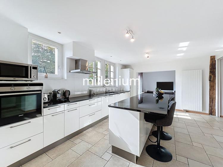 Magnifique villa avec jardin à deux pas du lac