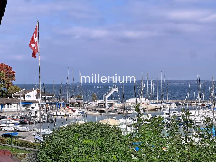 Magnifique villa avec jardin à deux pas du lac