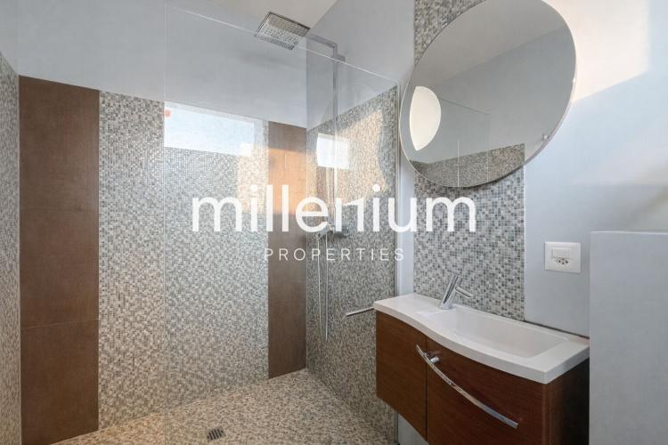 Grand appartement récent à Thônex