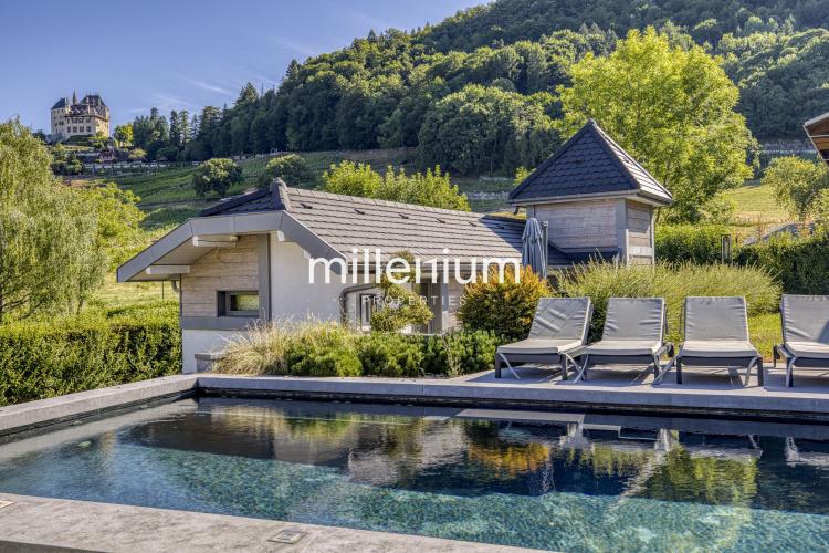 Magnifique Villa à Menthon Saint Bernard, proximité immédiate d'Annecy