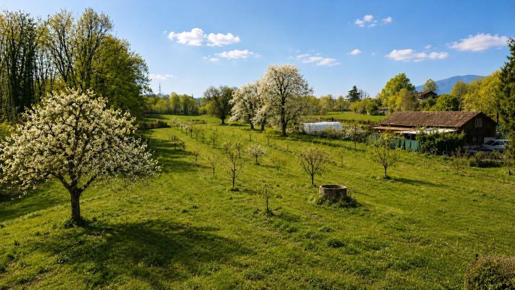 Spacieux appartement au cœur de la campagne genevoise