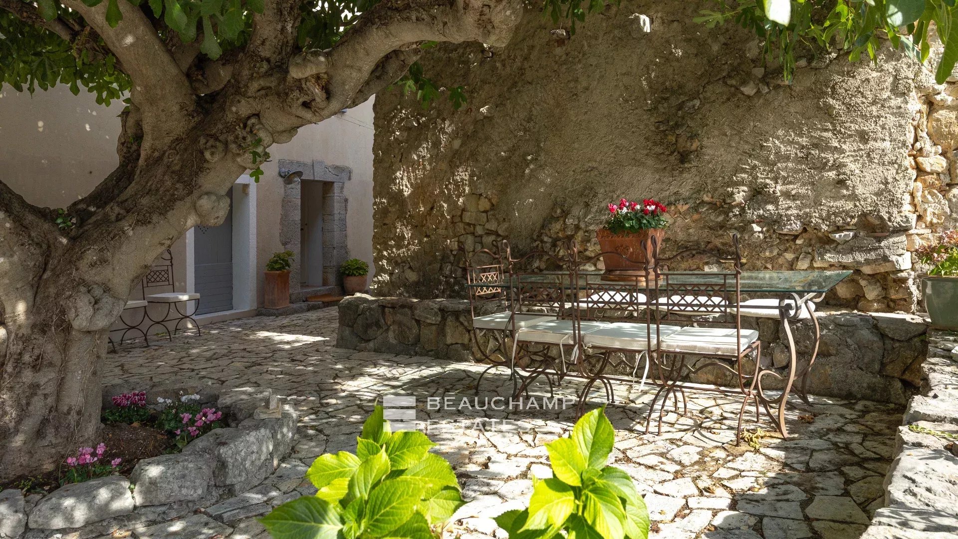 Propriété provençale au cœur du Canton de Fayence