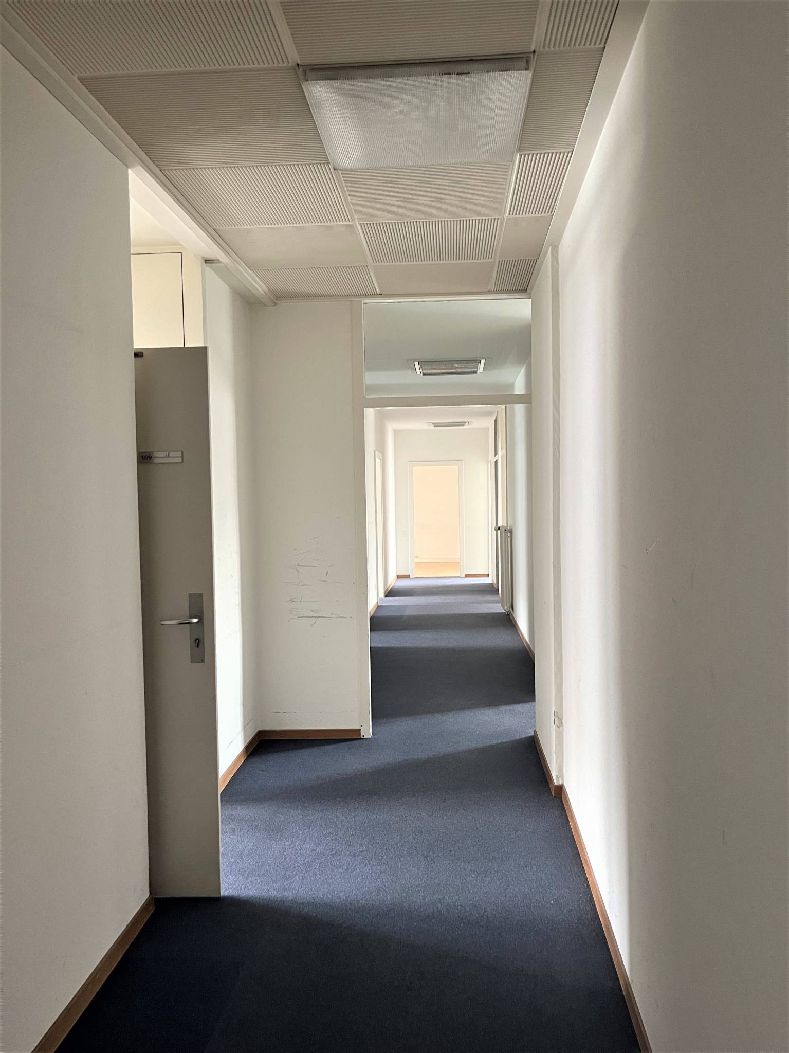 Surface très lumineuse - 305m2 bureaux