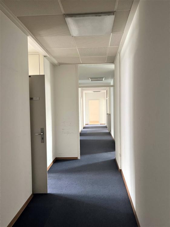 Surface très lumineuse - 305m2 bureaux