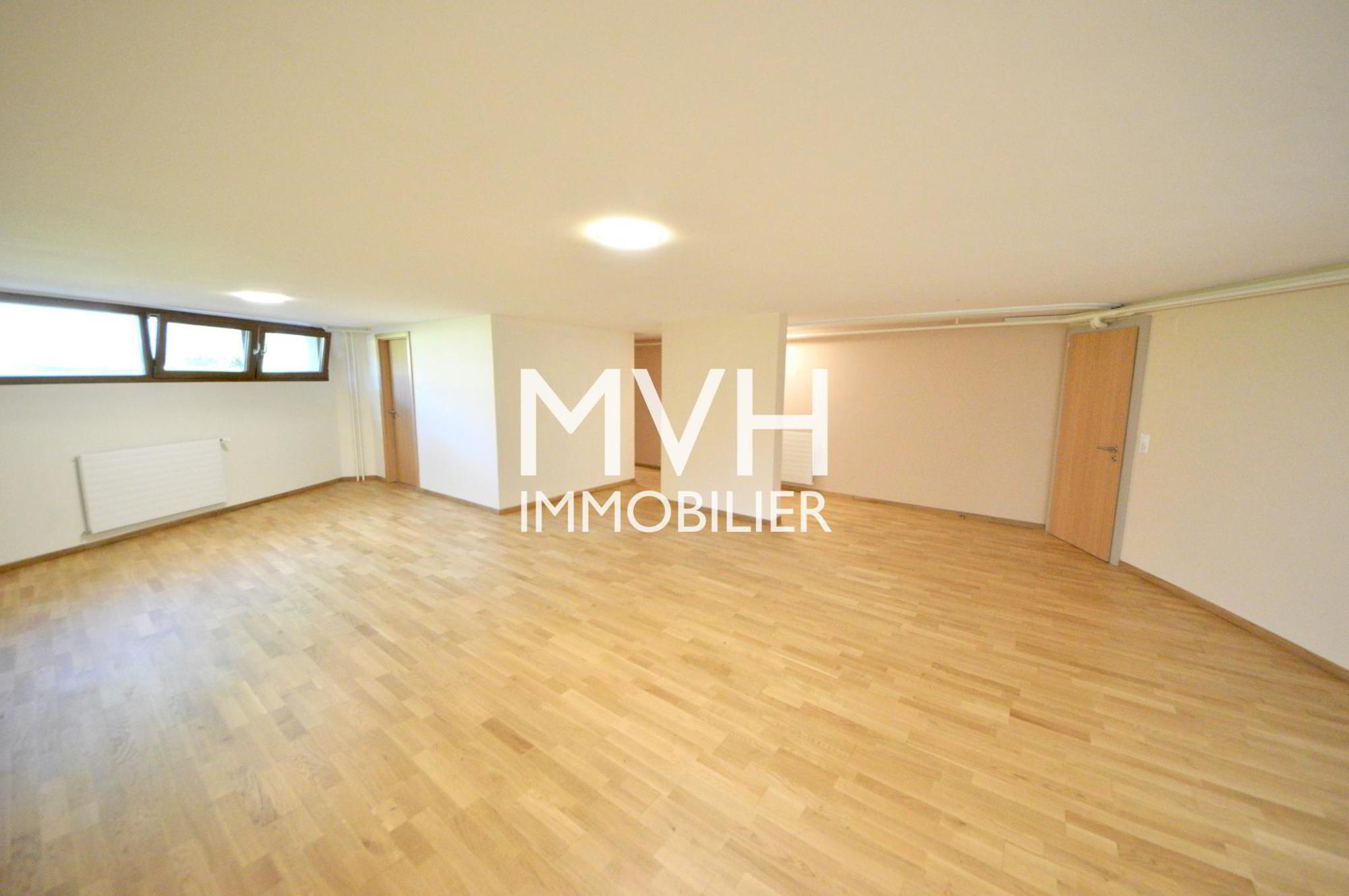 House for rent, Vessy (Veyrier, Switzerland)