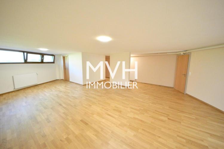 House for rent, Vessy (Veyrier, Switzerland)