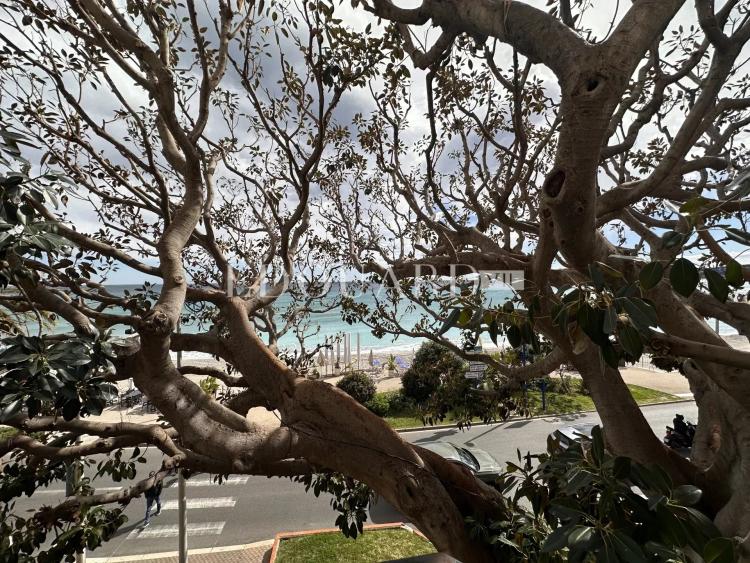 Dans résidence de luxe, deux pièces avec grande terrasse,  belle vue mer,  cave et parking en sous-sol