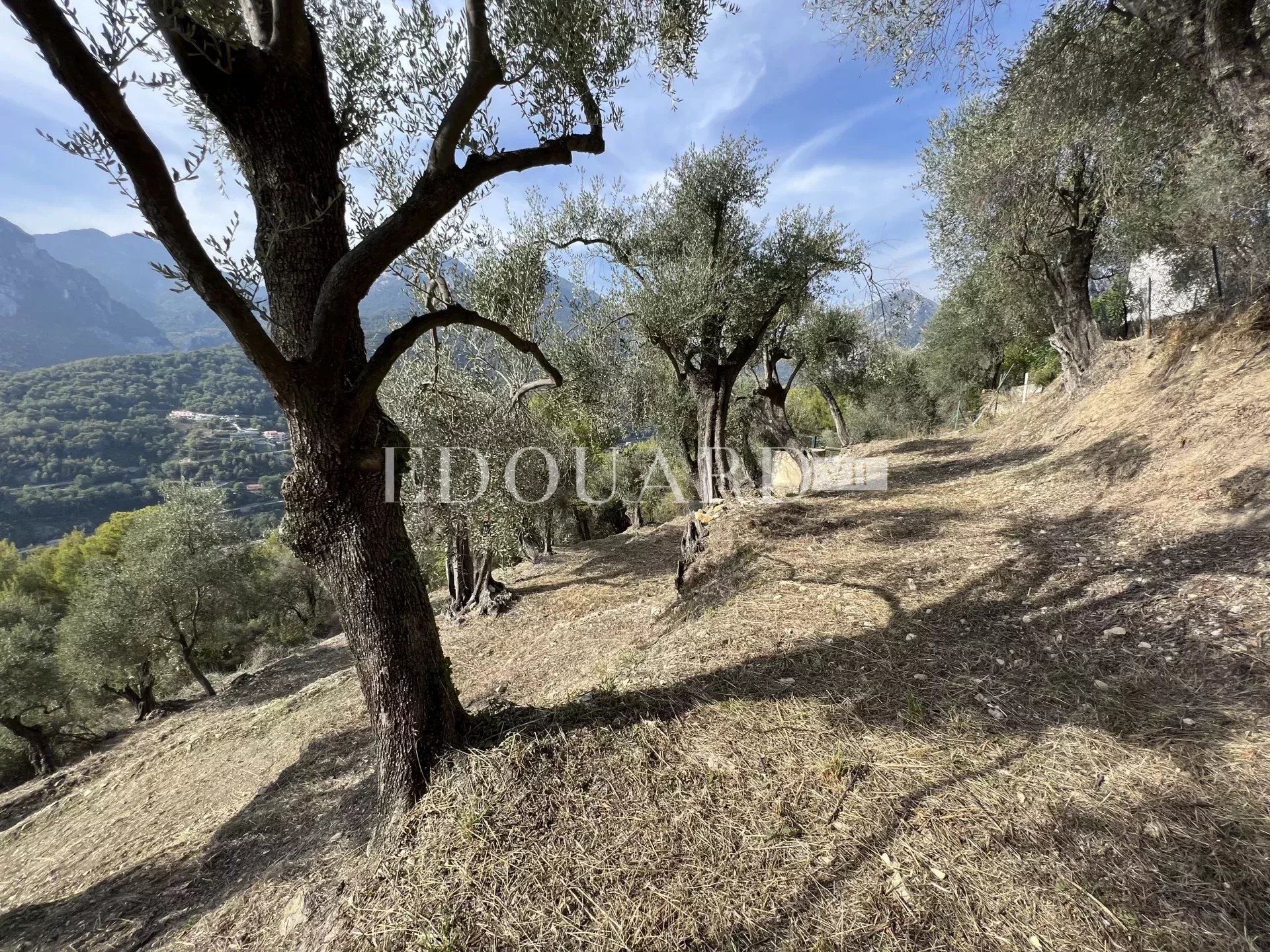Villa en cours de rénovation avec vaste terrain, spacieuse terrasse, double garage et parking. Exclusivité