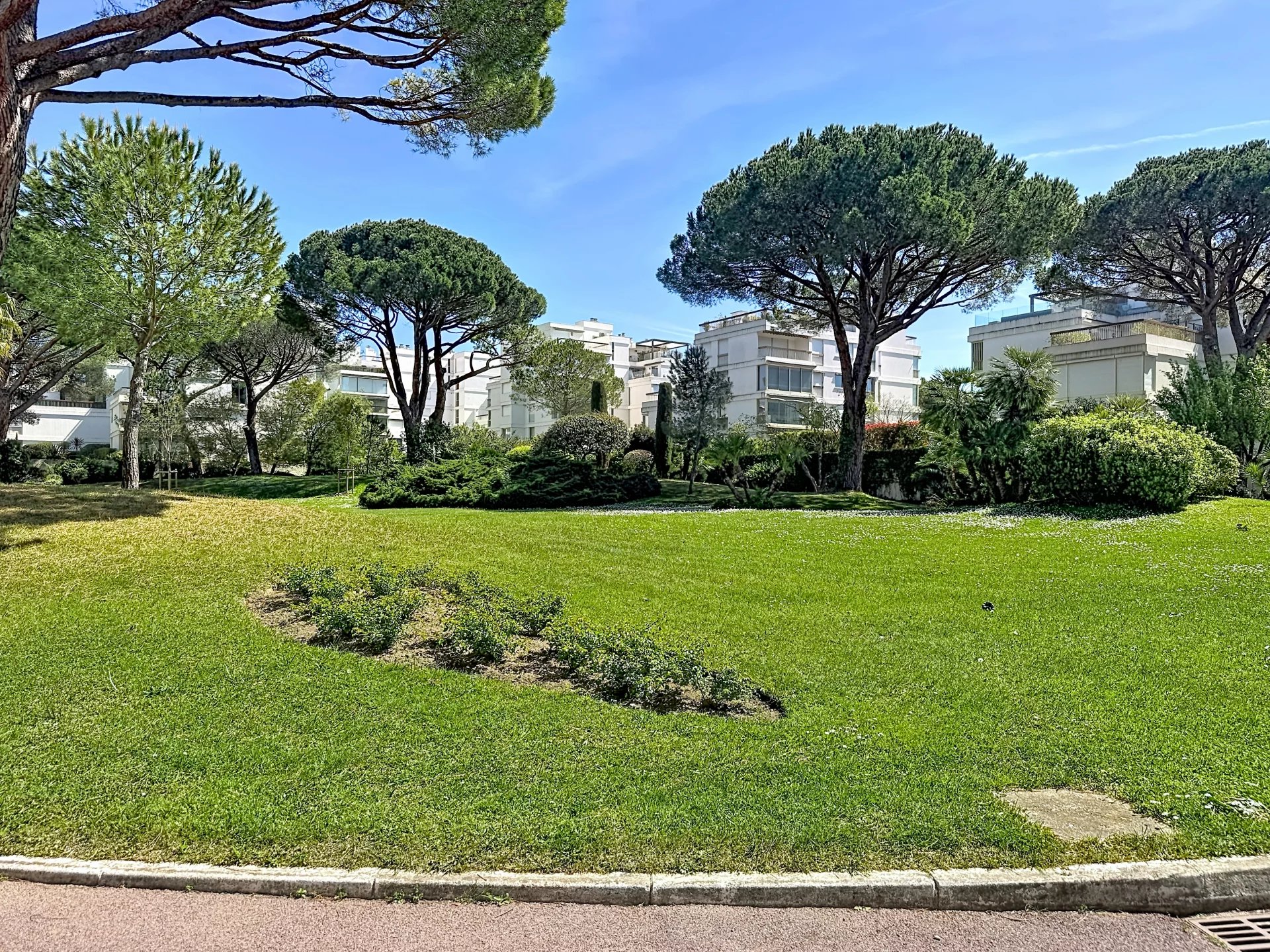 EXCLUSIVITÉ – GRAND STUDIO – À 20 MÈTRES DE LA PLAGE – CAVE & PARKING
