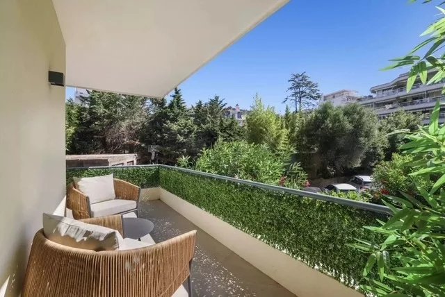 CANNES - BASSE CALIFORNIE