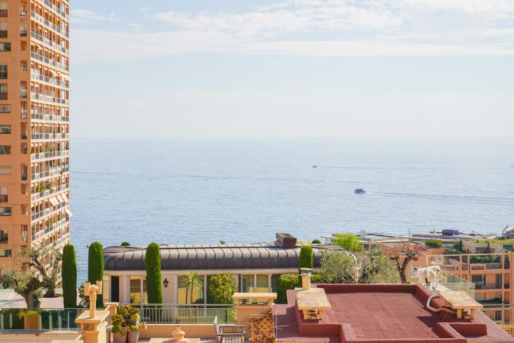 MONTE CARLO - 3 PIÈCES VUE MER - LOI 1235