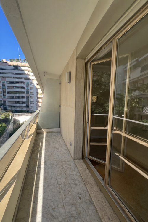 JARDIN EXOTIQUE - BEL HORIZON - STUDIO 