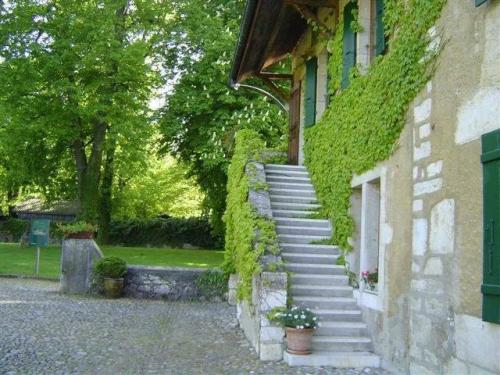 Exclusif : Superbe Domaine Au Cœur Des Vignobles