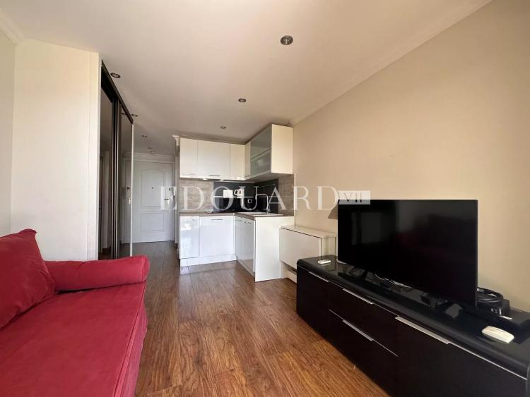 Petit studio en très bon état avec terrasse couverte, agréable jardin et magnifique vue mer panoramique