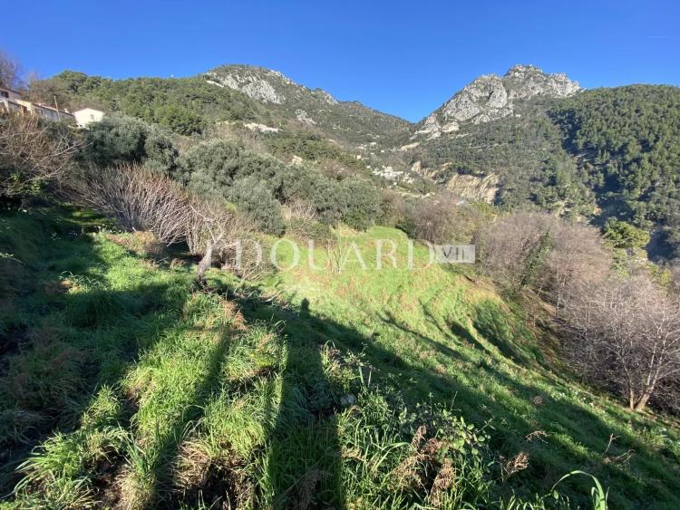 Bel terrain constructible à vendre avec vue panoramique jusqu'à la mer, sur la commune de Sainte Agnès