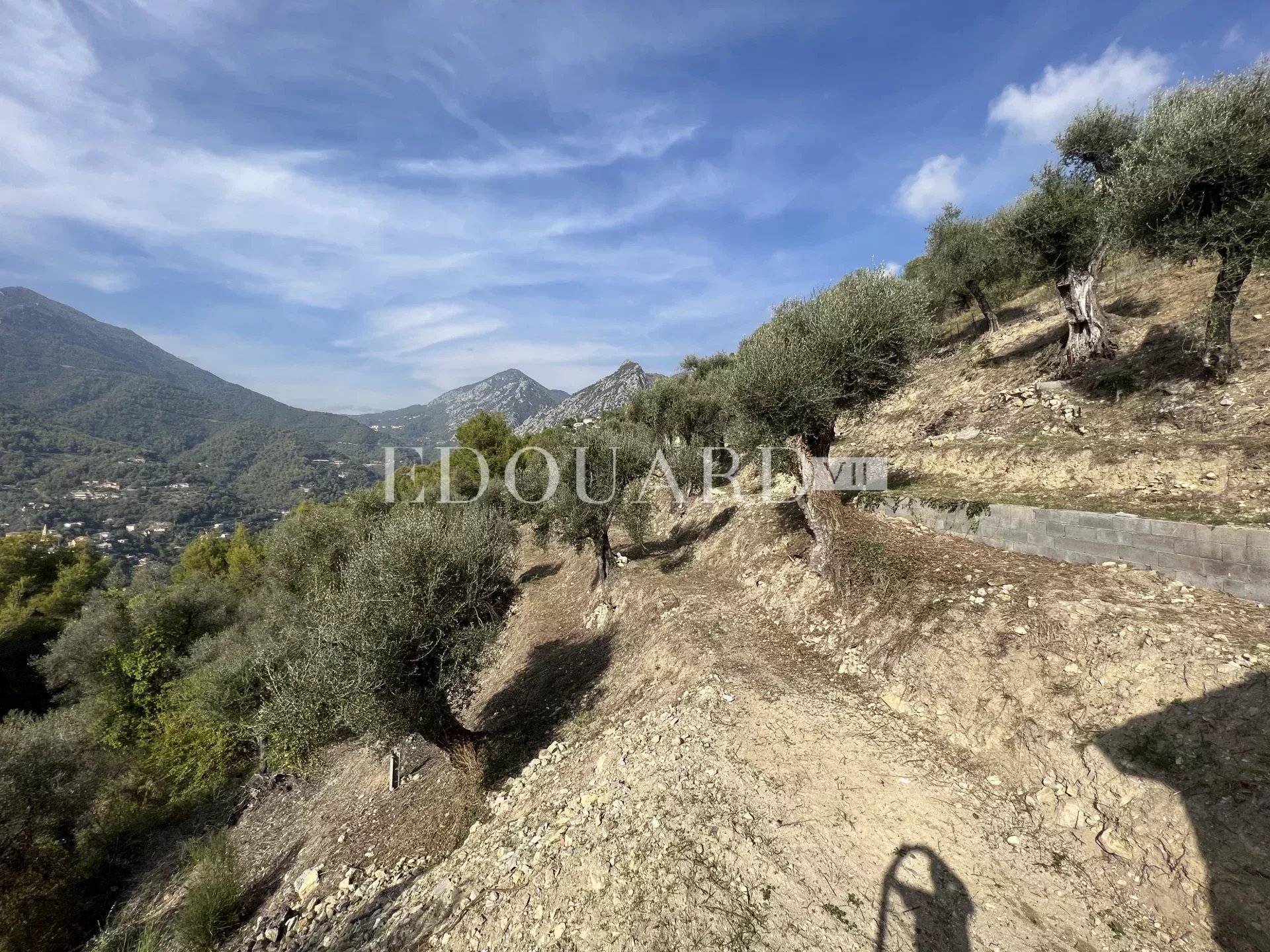 En exclusivité villa en cours de rénovation avec vaste terrain, sur la commune de Castellar