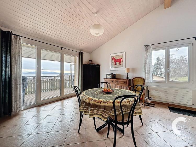 Panorama sur le Léman : Appartement avec balcon et vue lac à Mont-sur-Rolle