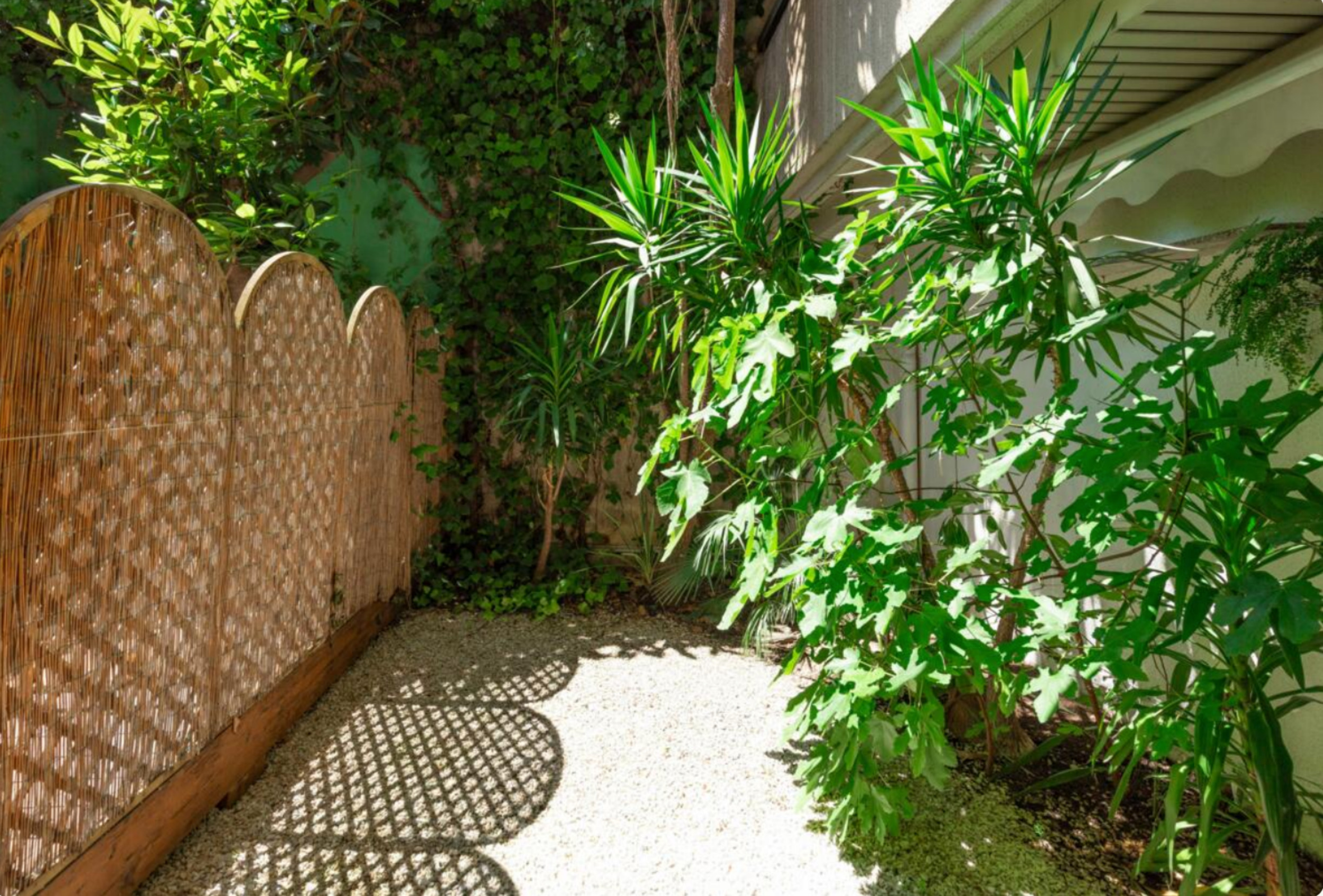 JARDIN EXOTIQUE : studio en location avec jardin privatif