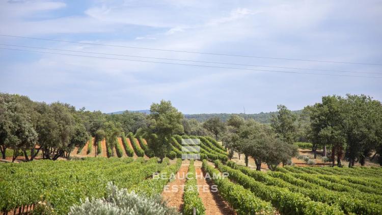 Château avec domaine viticole