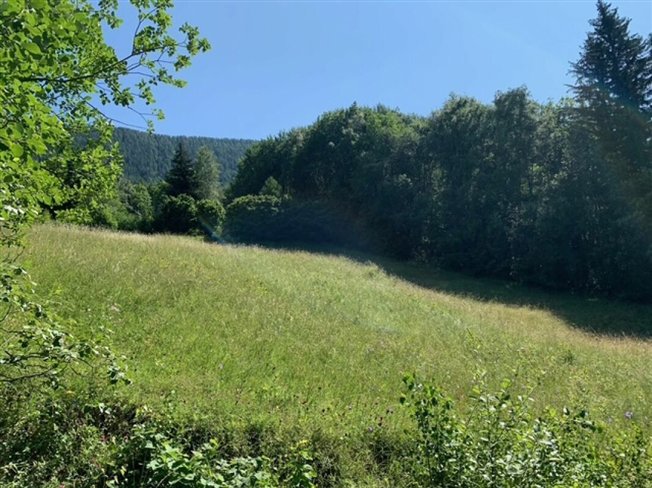 Baugrundstück Mayen de l'Arbarey - Sachsen