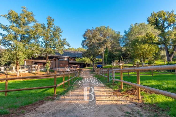 Entre Cannes et Monaco - Unique domaine équestre 23 hectares avec bastide en pierre
