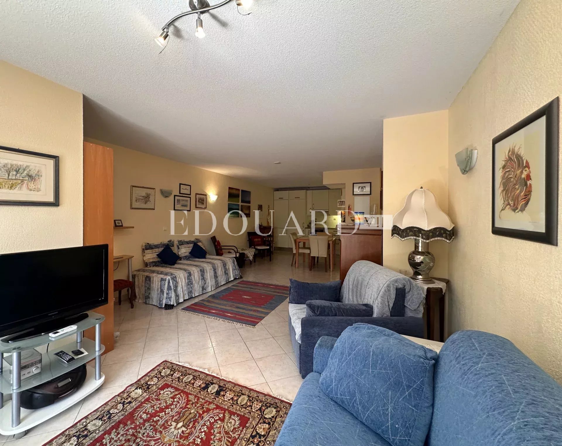 Grand deux pièces en excellent état avec belle terrasse et possibilité garage, exclusivité