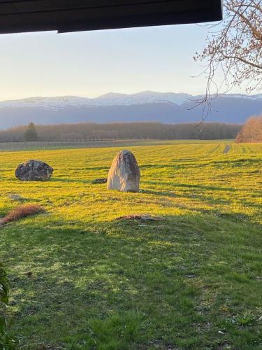 House for rent, Impasse des Barjins 9 (Collex-Bossy, Switzerland)