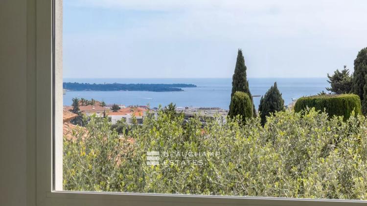 Villa contemporaine avec jardin et piscine au centre-ville