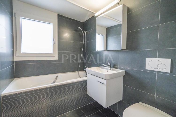 House for rent in Geneva, Switzerland
