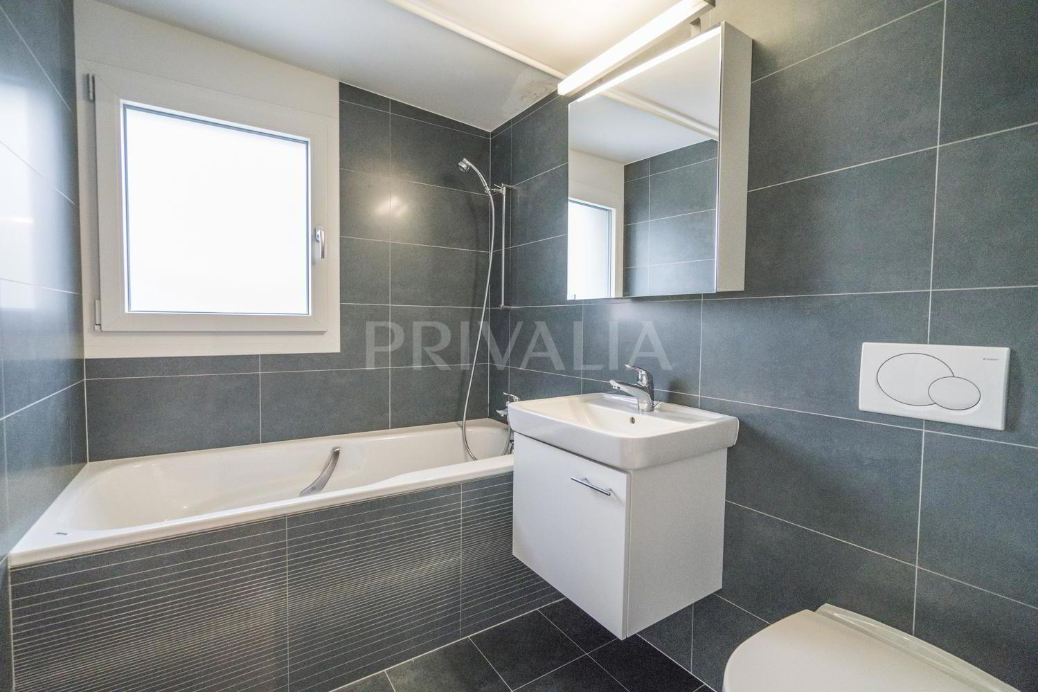 House for rent in Geneva, Switzerland