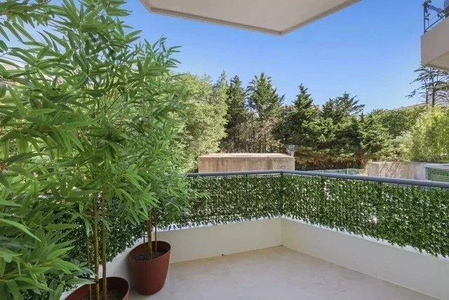 CANNES - BASSE CALIFORNIE