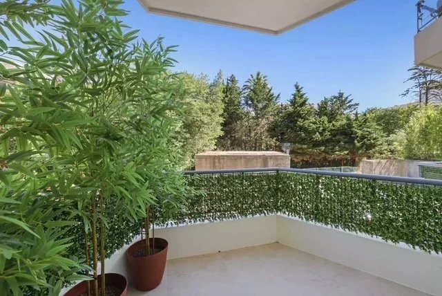 CANNES - BASSE CALIFORNIE