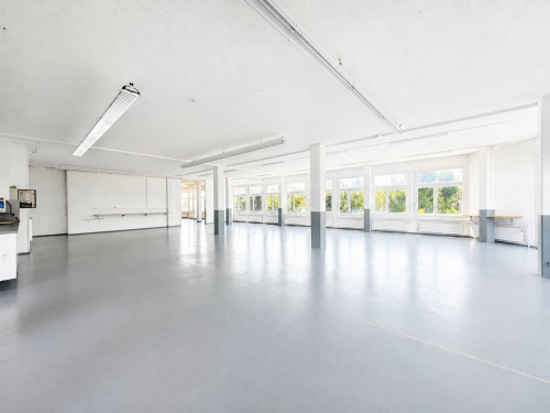 PLAIN-PIED - SURFACE COMMERCIALE & INDUSTRIELLE