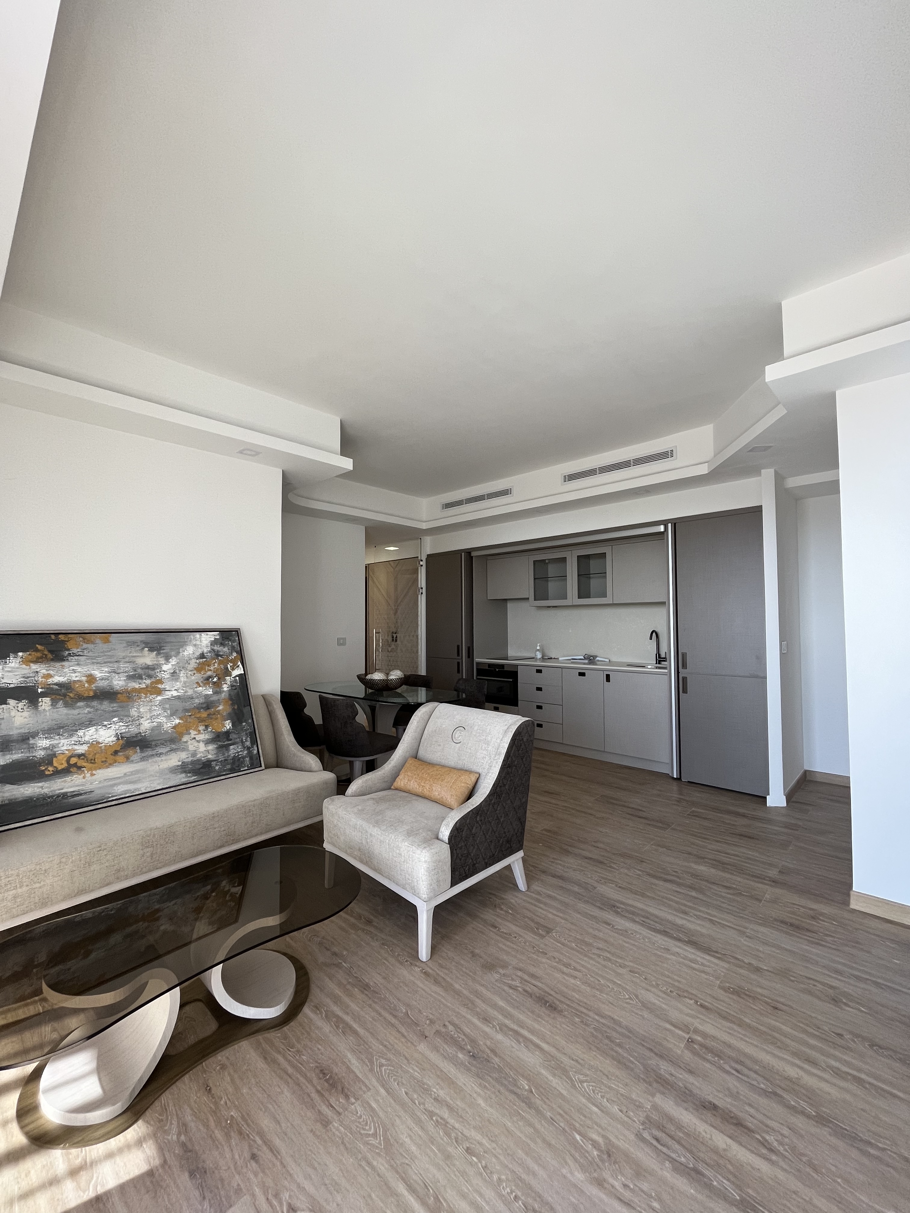 TRES BEL APPARTEMENT ENTIEREMENT RENOVE