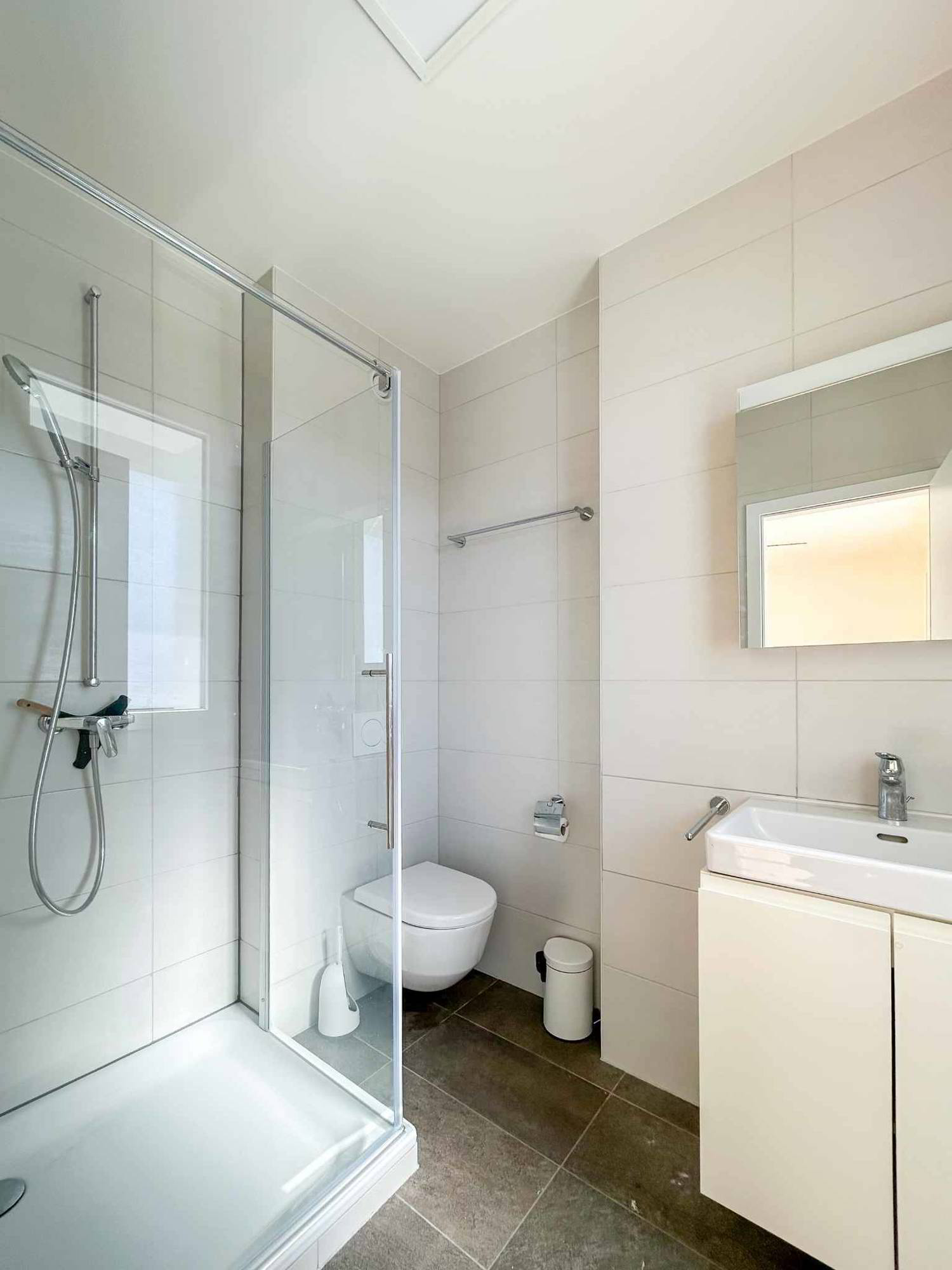 House for rent, Le Grand-Saconnex (Grand-Saconnex, Switzerland)