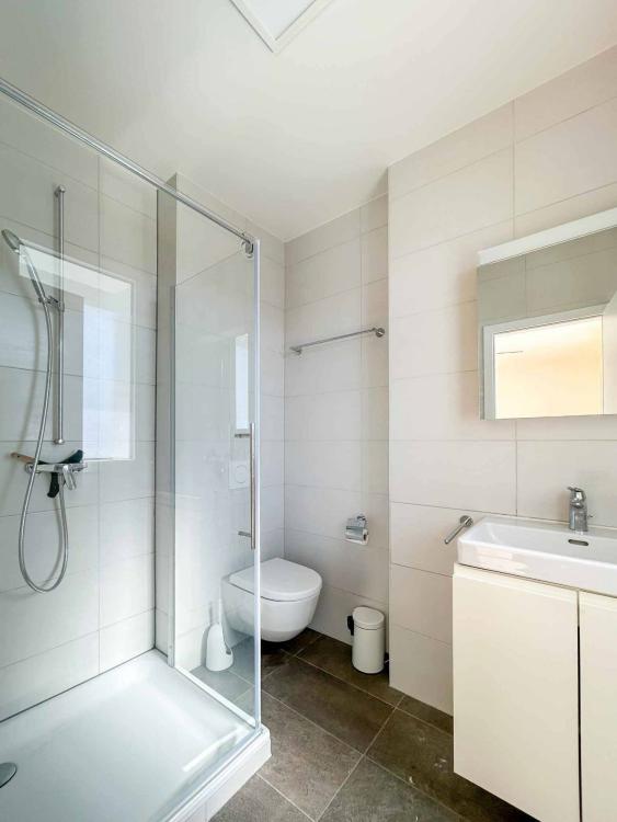 House for rent, Le Grand-Saconnex (Grand-Saconnex, Switzerland)