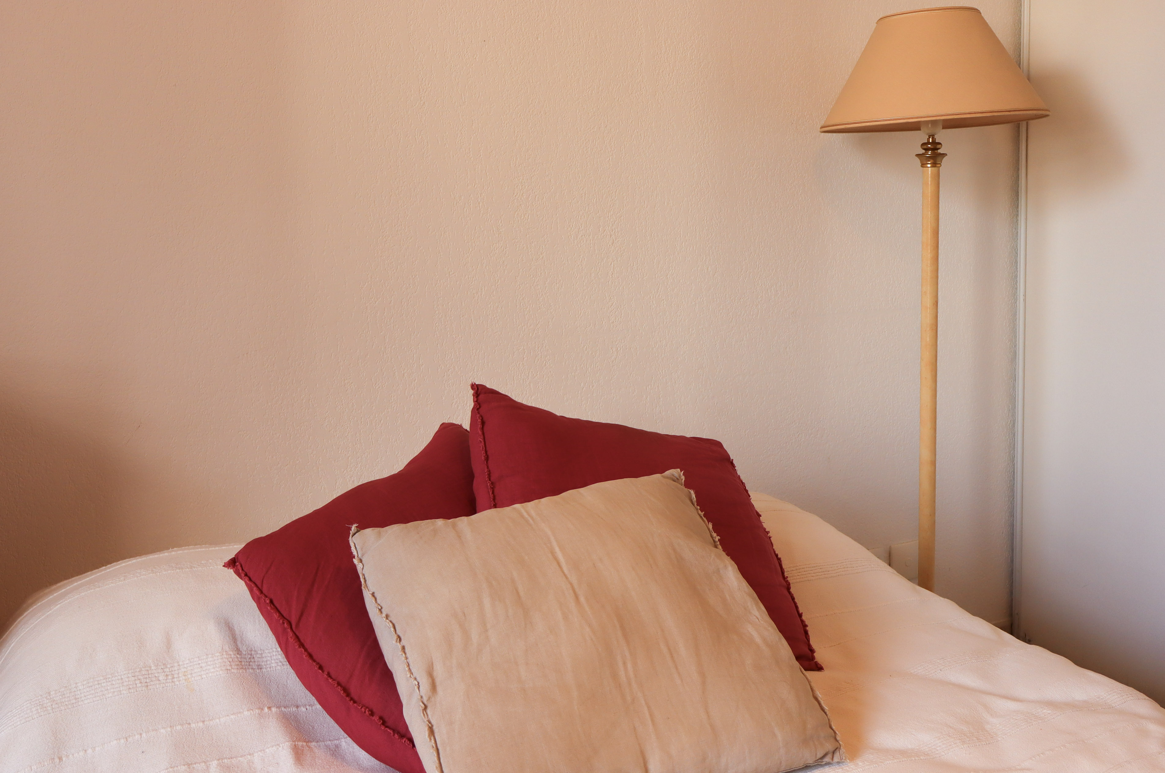 RCM - APPARTEMENT LUMINEUX TRAVERSANT - VIAGER - 3 PIÈCES - FRANCE